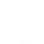 horseshoe-without-holes-and-with-slits